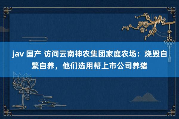 jav 国产 访问云南神农集团家庭农场：烧毁自繁自养，他们选用帮上市公司养猪